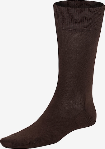 Chaussettes 'Longlife ' KUNERT en marron : devant
