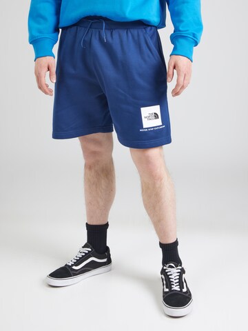 regular Pantaloni di THE NORTH FACE in blu: frontale