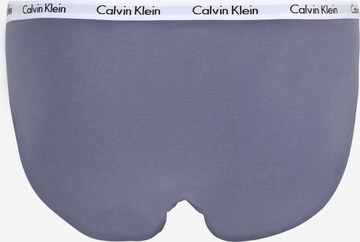 Regular Slip Calvin Klein Underwear Plus en mélange de couleurs
