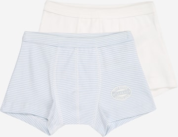 mėlyna PETIT BATEAU Apatinės kelnaitės: priekis