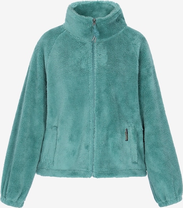 Schmuddelwedda Fleece jas in Groen: voorkant