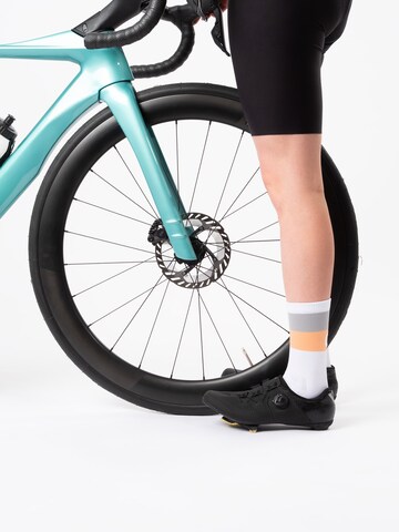 Occulto Sportsocken 'Eddy'‌‌‌‌‌‌ in Orange