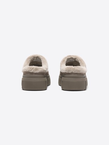 Ankle boots '6B74' di TIMBERLAND in marrone