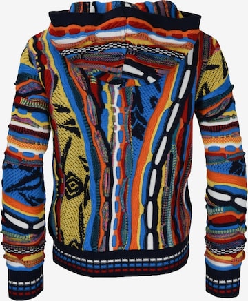 Carlo Colucci Sweater 'Castorina' in Mixed colors