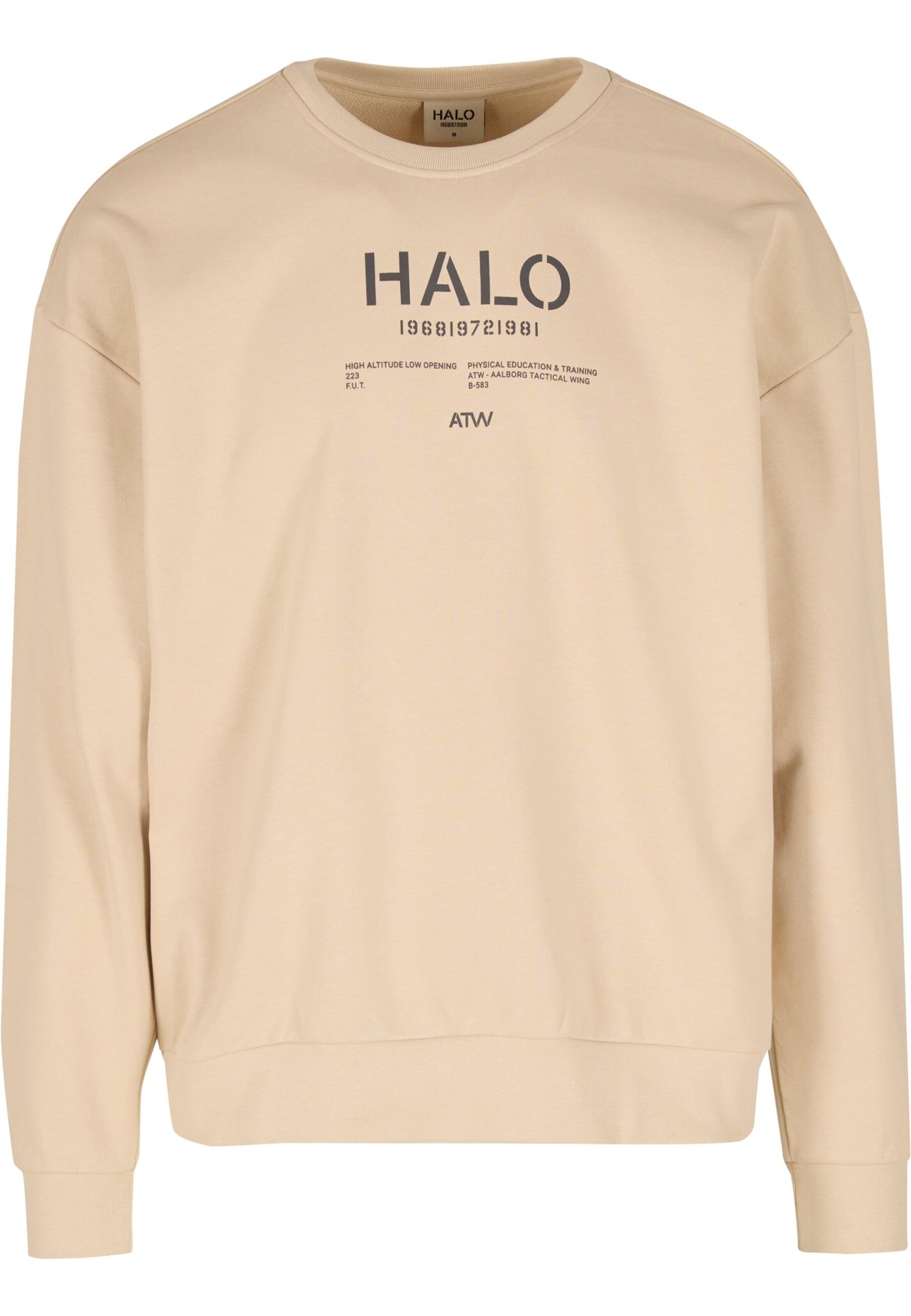 HALO Sweatshirt in Beige: front