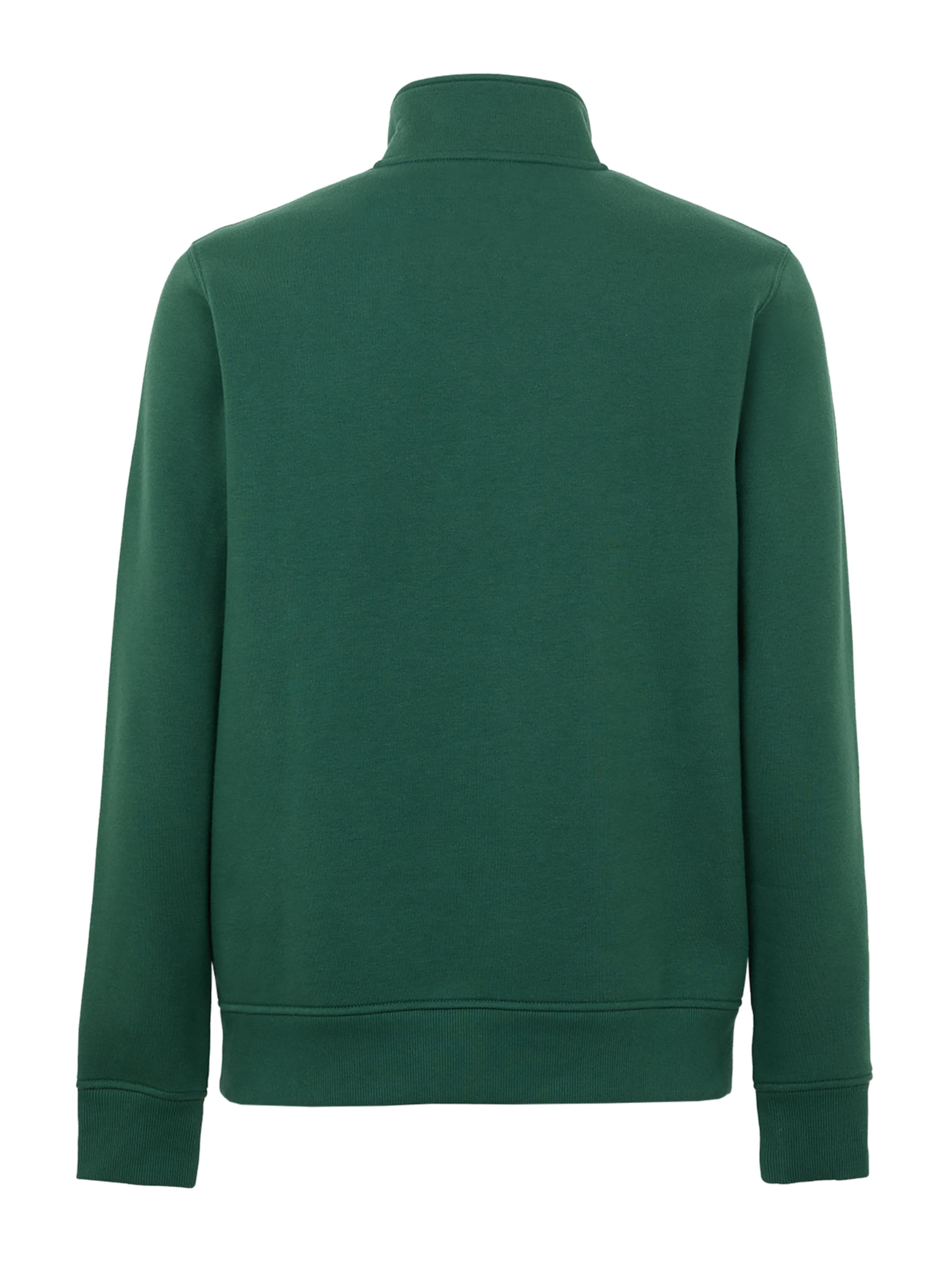 DICKIES Sweatshirt 'Oakport' in Green