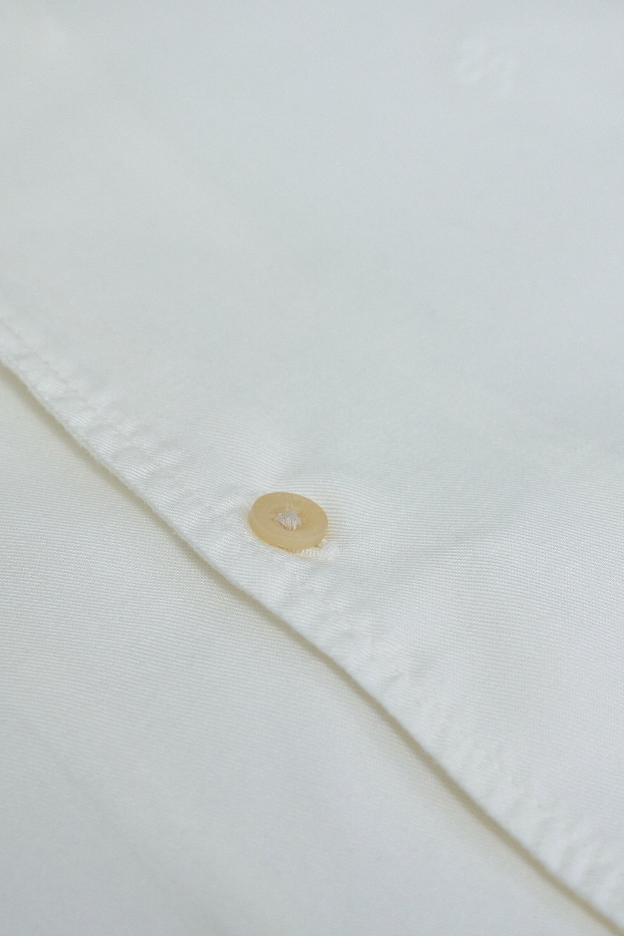 Salsa Jeans Regular Fit Hemd Birmingham in Beige