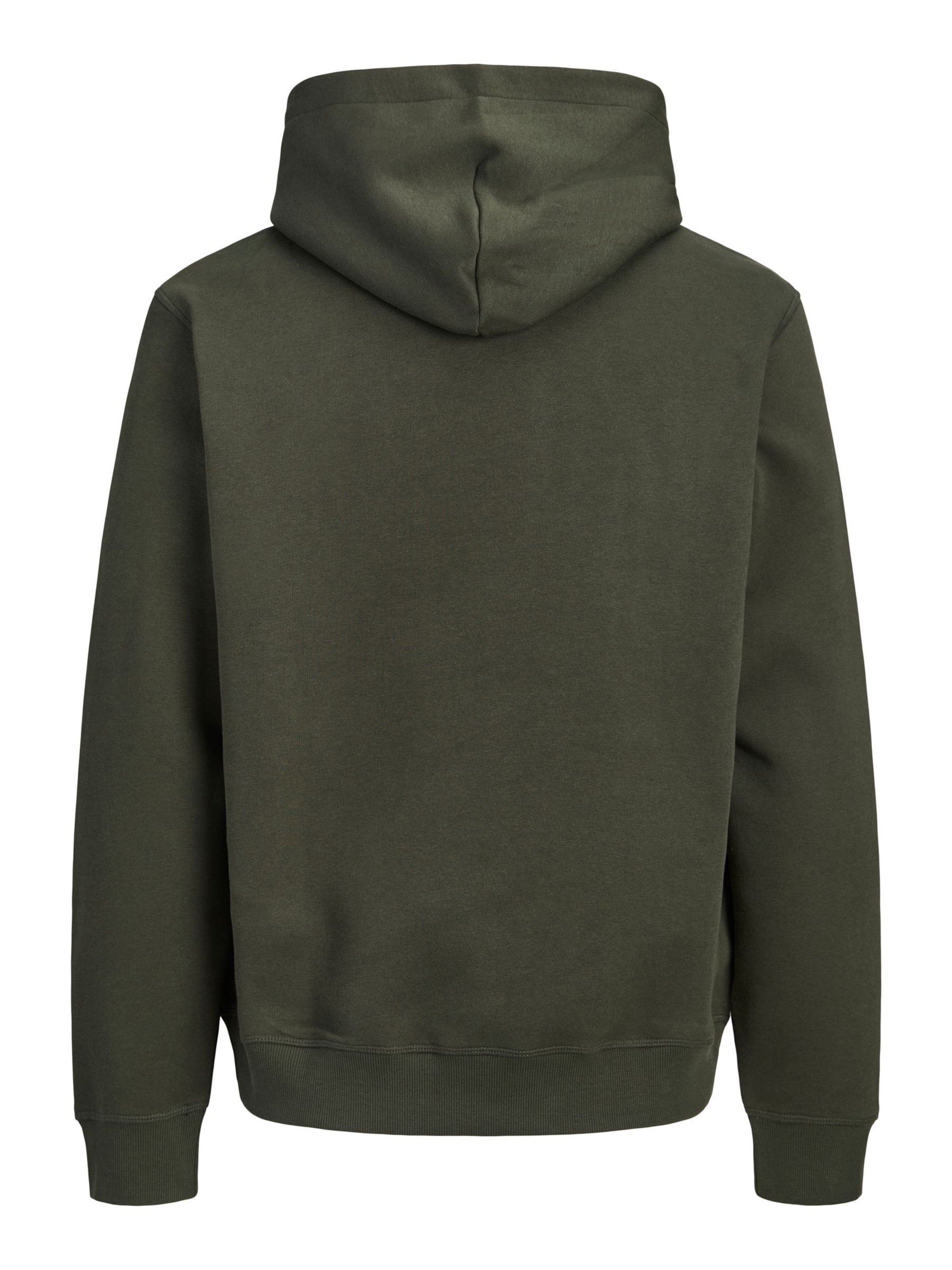 JACK & JONES Sweatshirt in Green