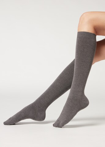 CALZEDONIA Knee High Socks in Grey: front