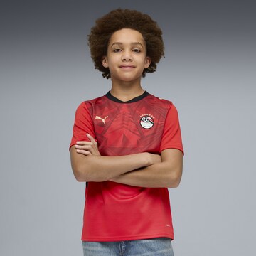 PUMA Functioneel shirt 'Ägypten' in Rood: voorkant