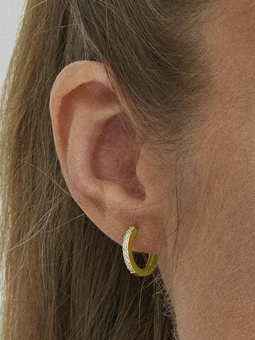 Boucles d'oreilles 'Valarys' Luxenter en or : devant