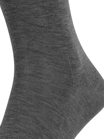 FALKE Socks 'Tiago' in Grey