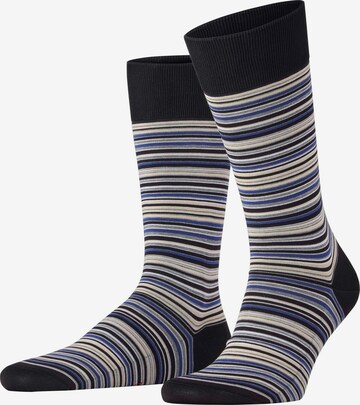 FALKE Socken 'Microblock' in Schwarz: Vorderseite