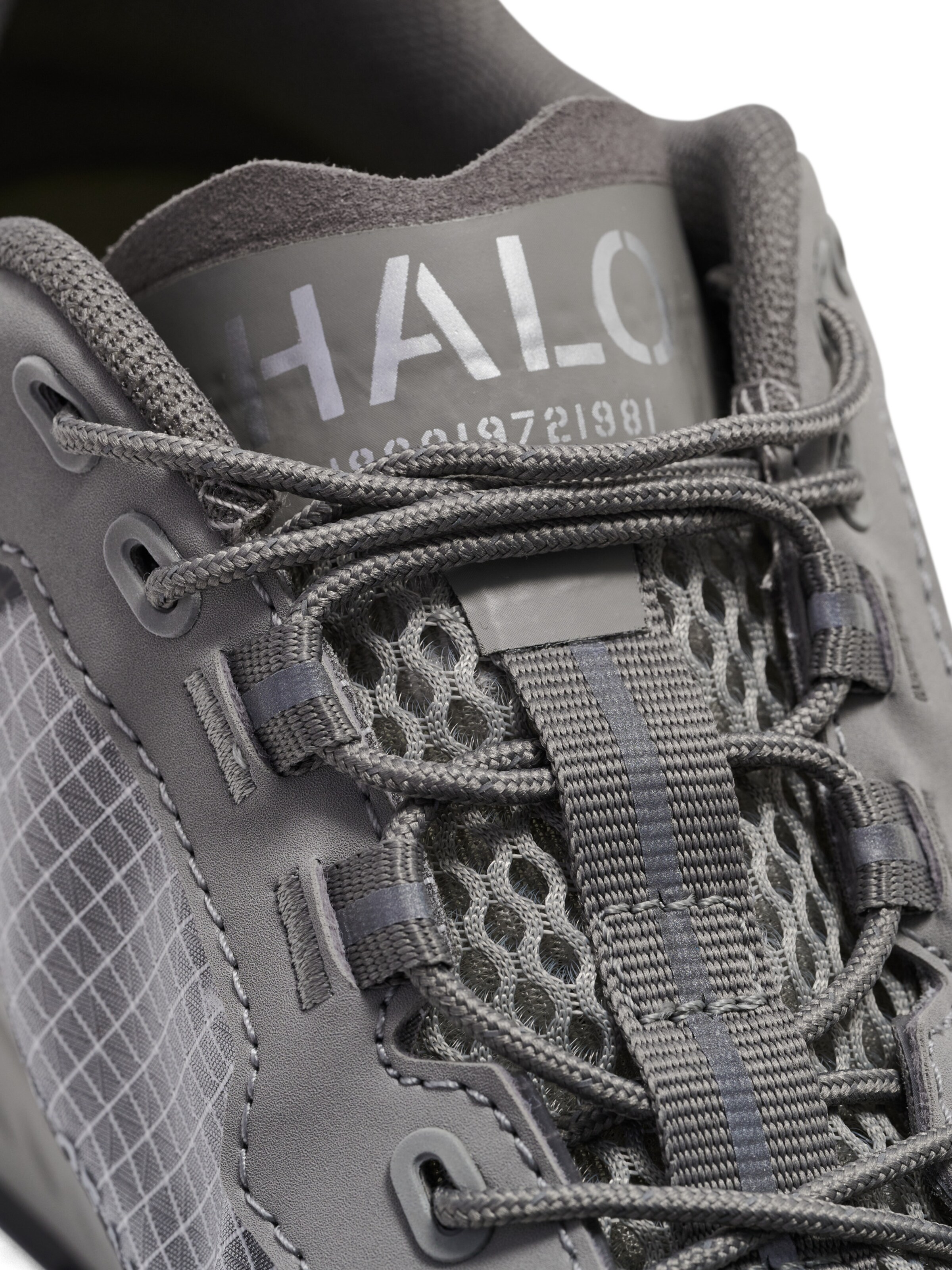 Baskets basses HALO en gris