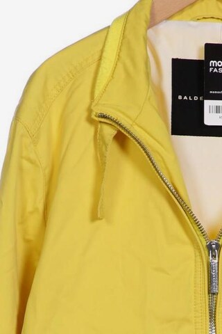 Baldessarini Jacket & Coat in M-L in Yellow