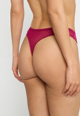 LSCN by LASCANA String i lila