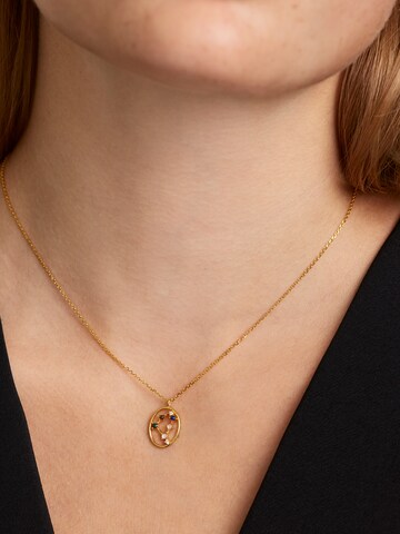 P D PAOLA Ketting 'Capricorn' in Goud: voorkant