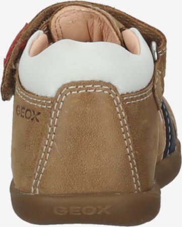 GEOX Sandals & Slippers in Brown