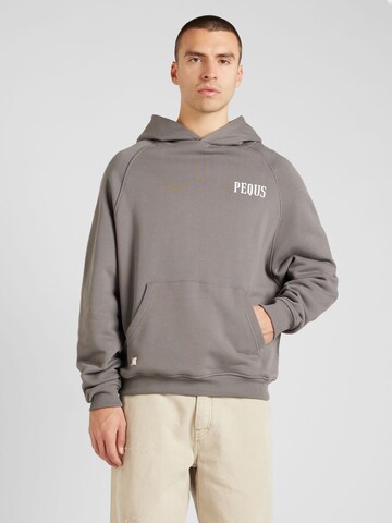Felpa di Pequs in grigio: frontale