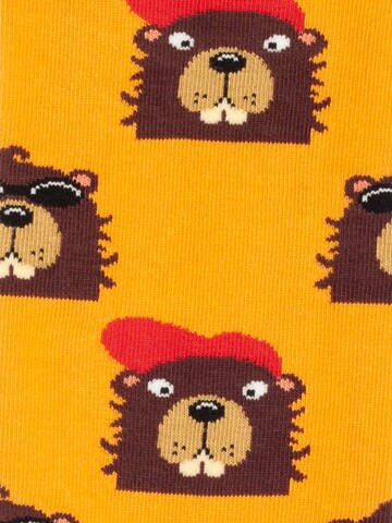 DillySocks Socks 'Dog vs Biever' in Mixed colors