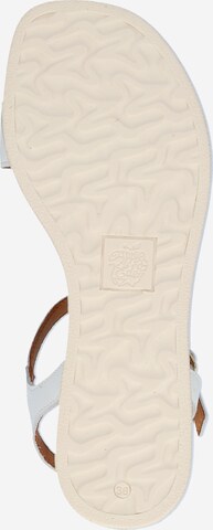 Apple of Eden - Sandalias con hebilla 'ISA' en blanco