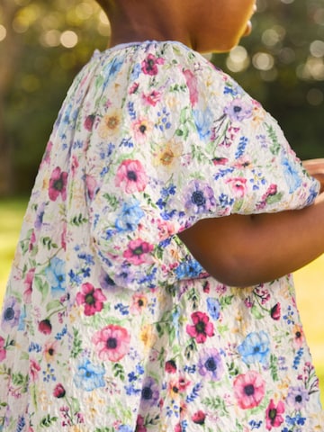 Next Kleid in Pink