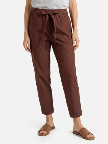Slimfit Pantaloni con pieghe di Betty & Co in marrone: frontale