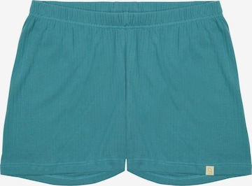 greenjama Pajama Pants in Green: front