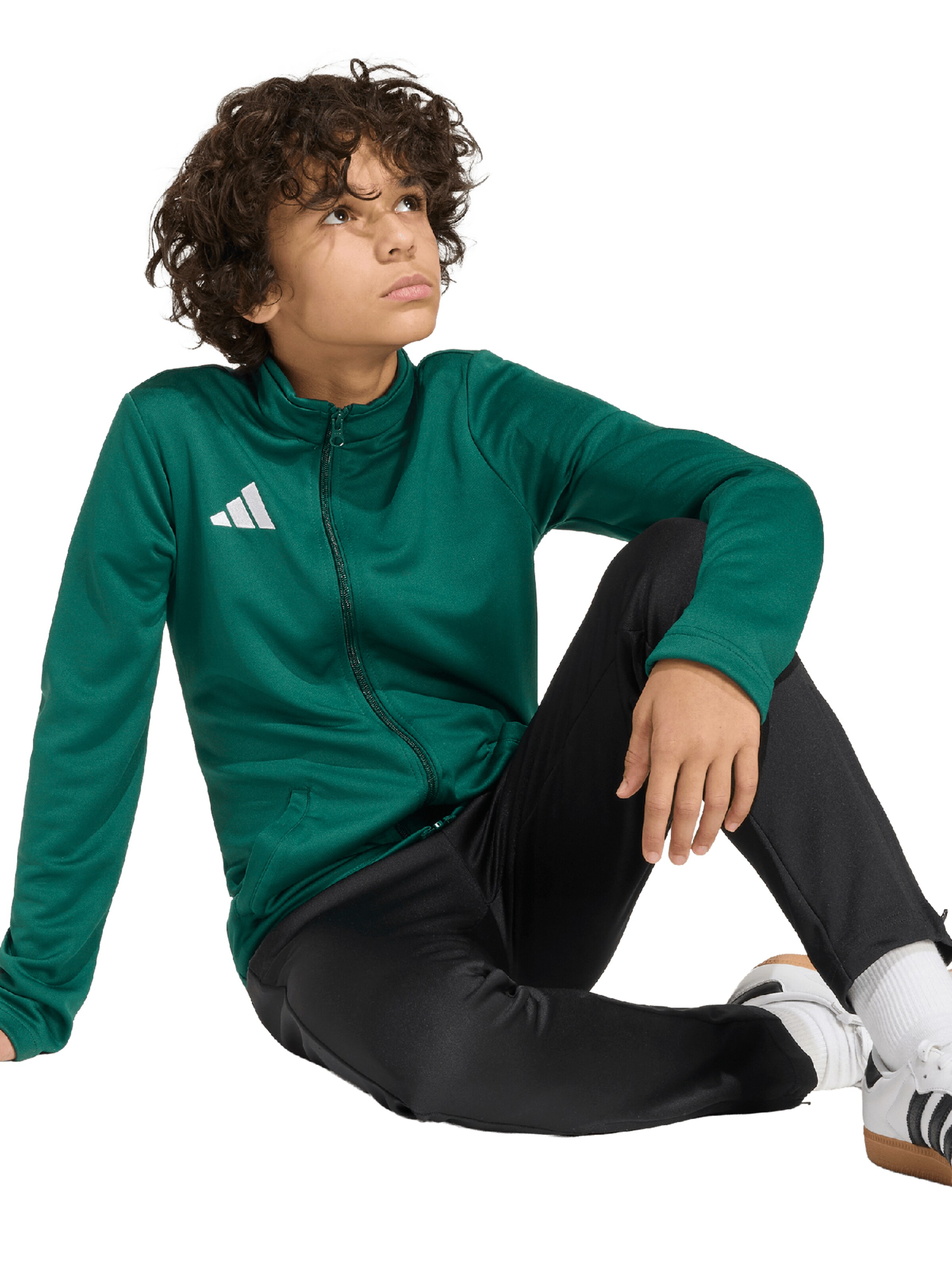 ADIDAS PERFORMANCE Sportssweatjakke 'ENT26' i grøn