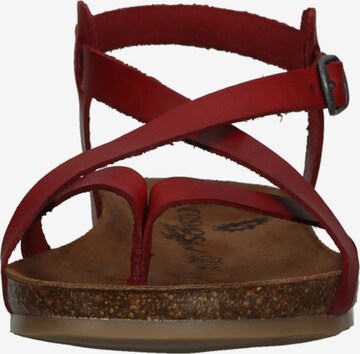 COSMOS COMFORT Strap Sandals in Red