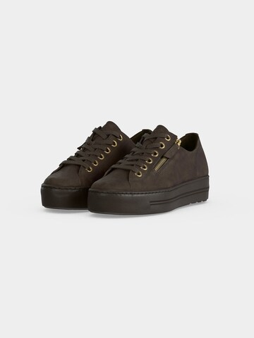 Paul Green Sneakers in Brown