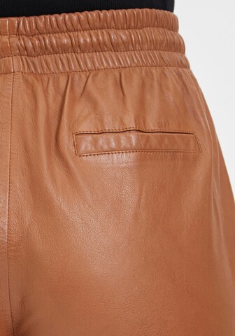 Gipsy Tapered Hose in Braun