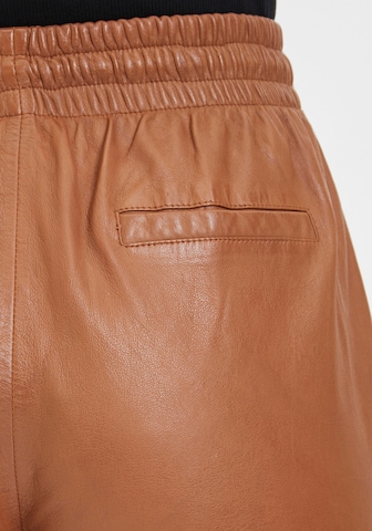 Gipsy Tapered Pants in Brown
