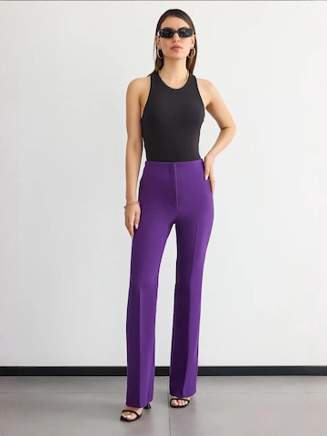 Hiccup Regular Broek in Lila