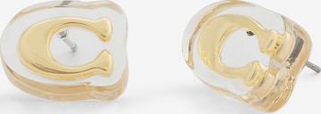 COACH Korvakoru 'LUCITE' värissä kulta: etupuoli