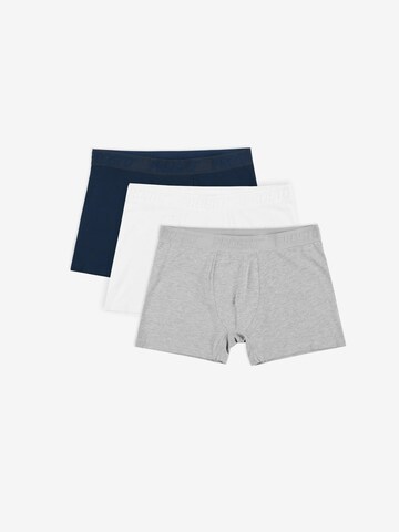 Prosto Boxer shorts in Mixed colors: front