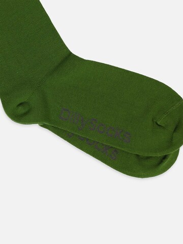 DillySocks Socken 'D-Compose 2er Set' in Grün