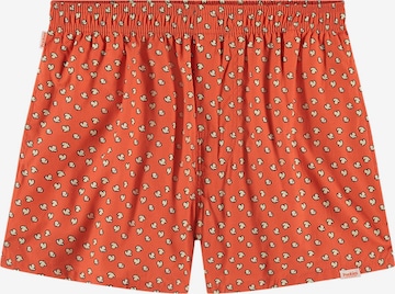 oranžinė Pockies Boxer trumpikės: priekis