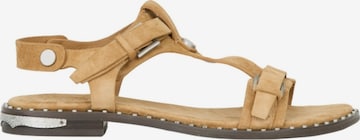 Sandales ASH en beige : devant