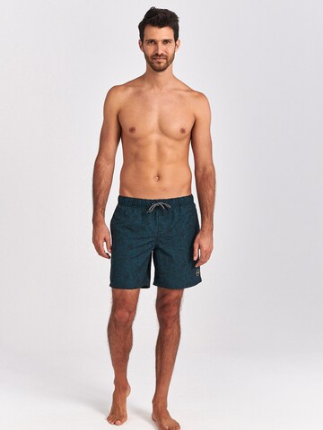 Shiwi Board Shorts in Blue