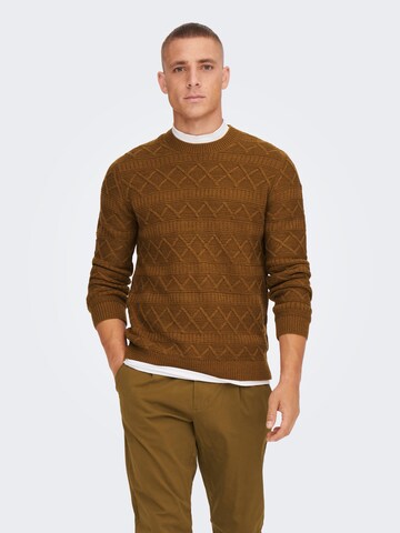 Only & Sons Sweater in Brown: front