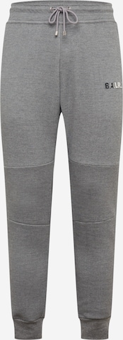 BALR. Tapered Pants in Grey: front