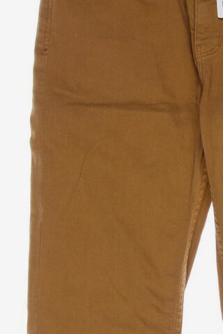 Kuyichi Jeans in 27 in Brown