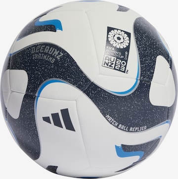 ADIDAS PERFORMANCE Ball in Weiß: predná strana