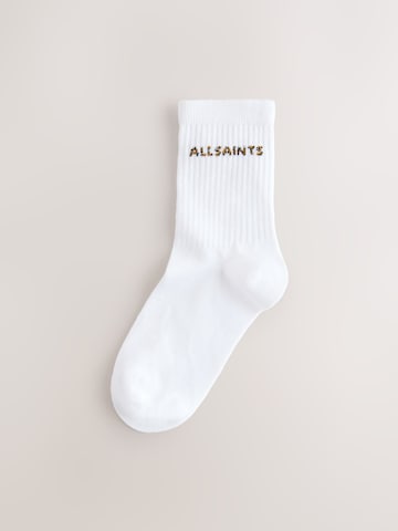 smALLSAINTS Nogavice | rjava barva