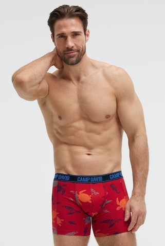 CAMP DAVID Boxer shorts in Blue