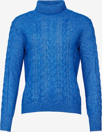 VICCI Germany Sweater in Blue: front