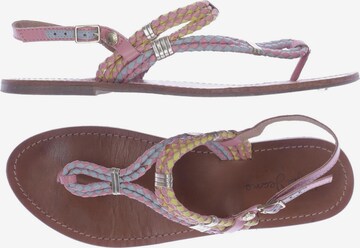 Pepe Jeans Sandalen 41 in Mischfarben: predná strana