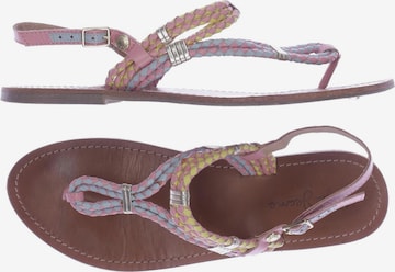 Pepe Jeans Sandals & High-Heeled Sandals in 41 in Mixed colors: front