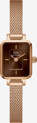 Daniel Wellington Uhr in Braun: predná strana